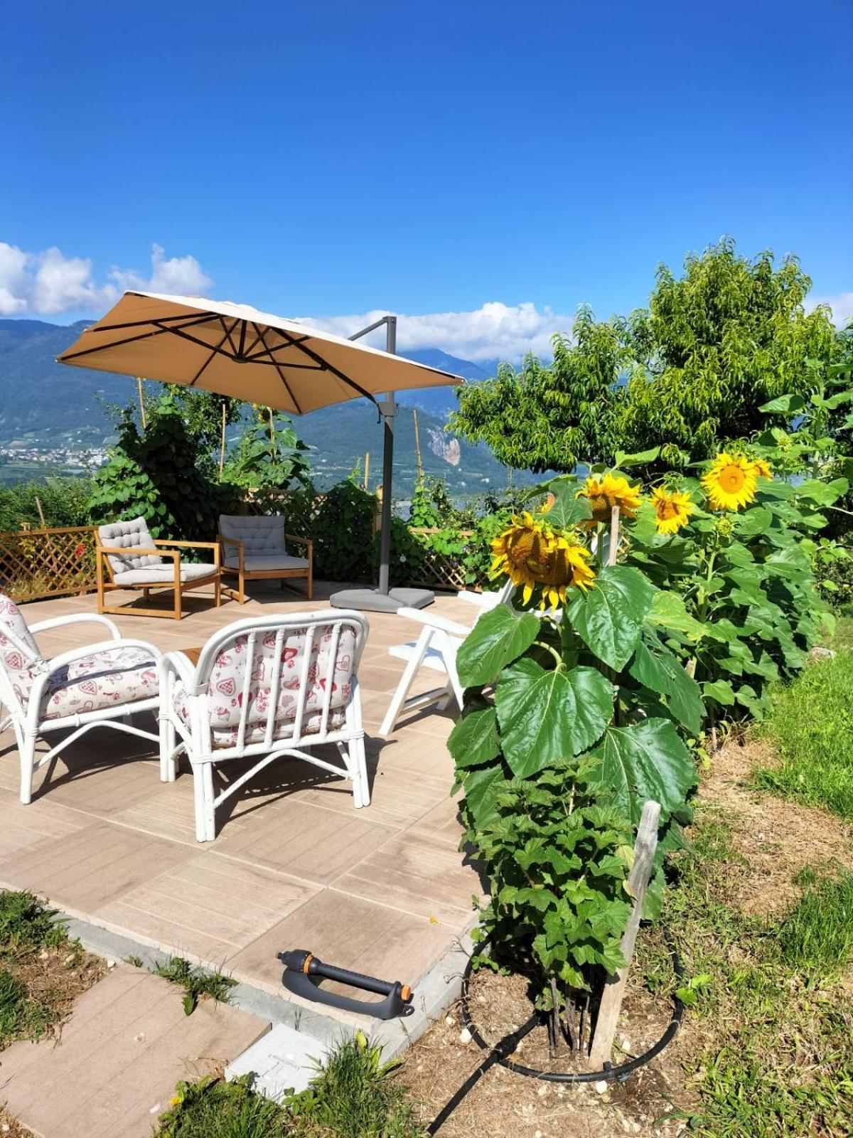 I Girasoli Sanzeno Extérieur photo