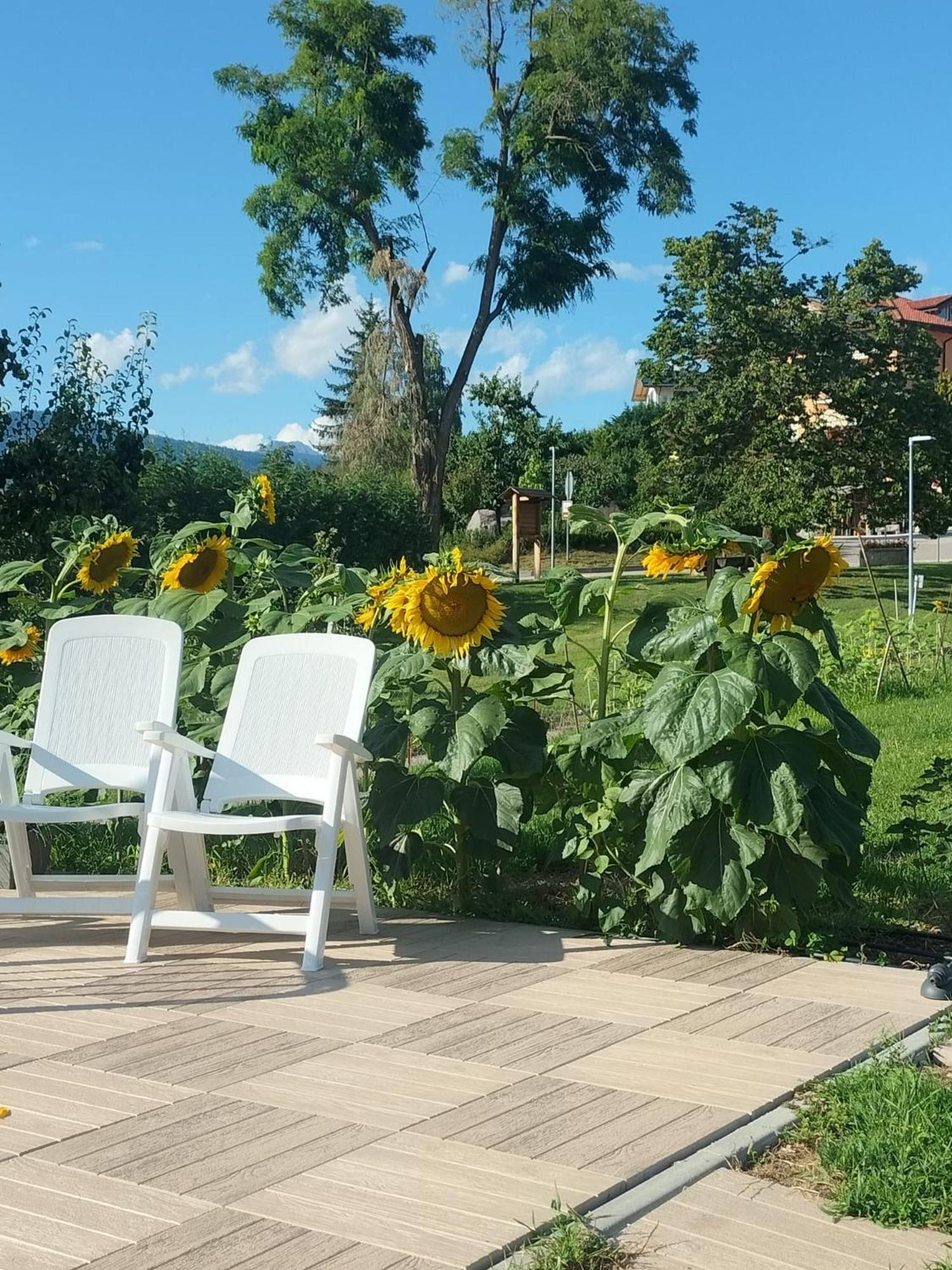I Girasoli Sanzeno Extérieur photo