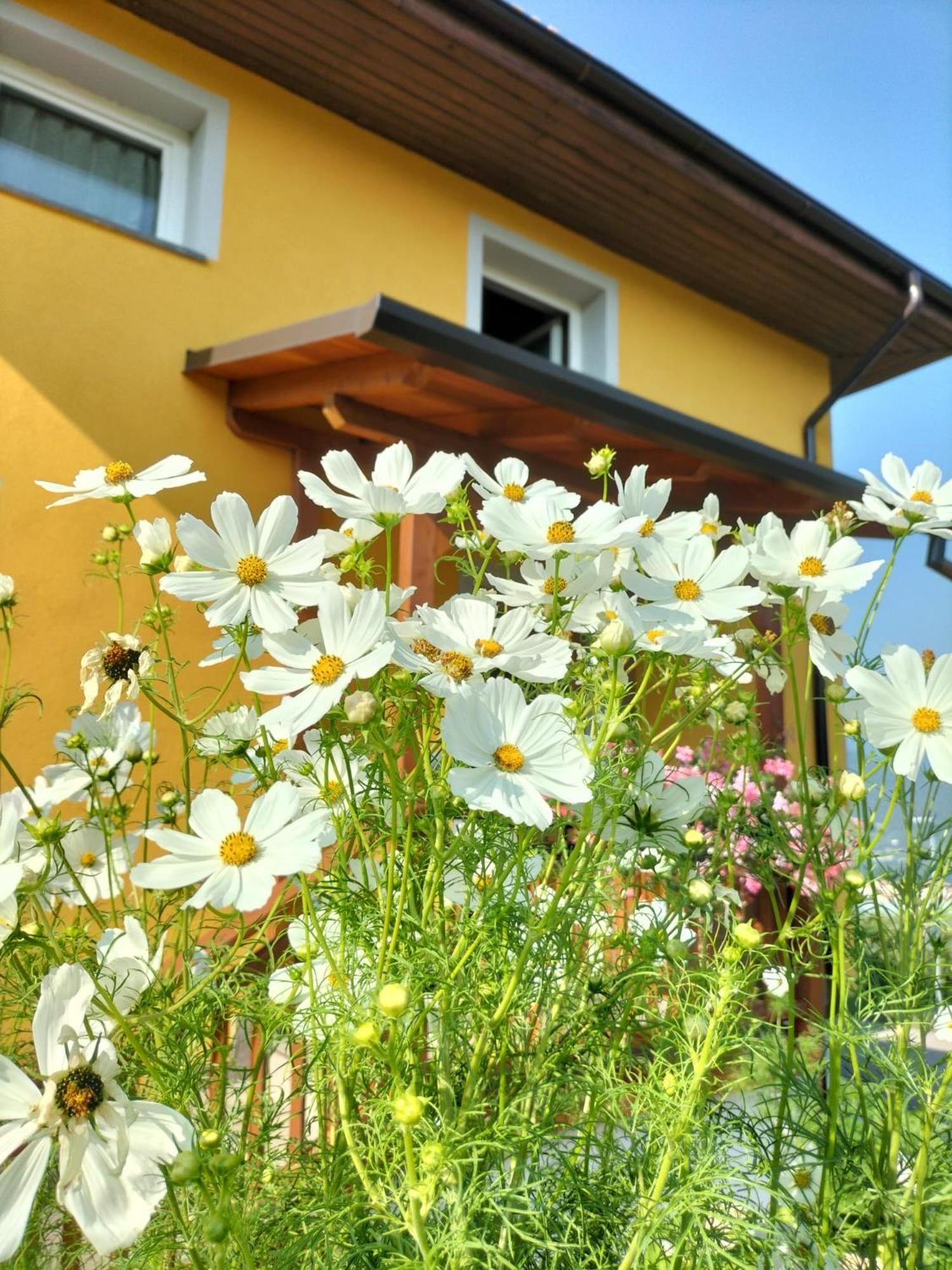 I Girasoli Sanzeno Extérieur photo